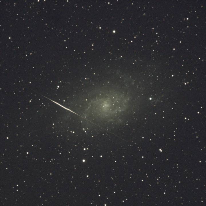photobombed M33